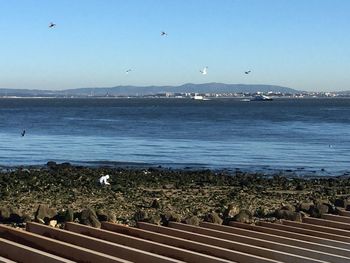 Scenic view of sea against clear blue sky