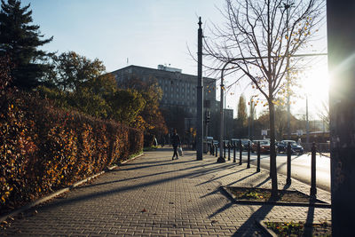 Street amidst trees against sky during autumn