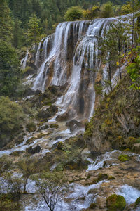 Scenic view of waterfall in forest