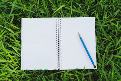 Directly above shot of blank spiral notebook and pencil on grass