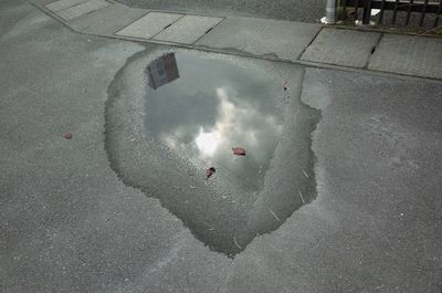 High angle view of person in water