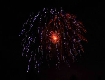 Low angle view of firework display over black background