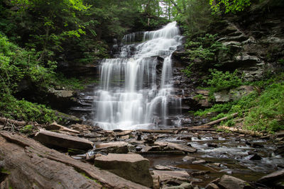 Scenic view of waterfall in forest
