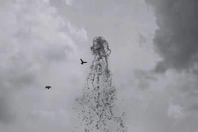 Low angle view of birds flying in sky