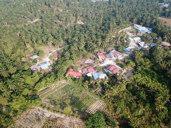 High angle view of trees and houses on field