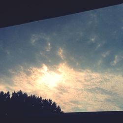 Silhouette of trees at sunset