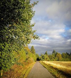 Road amidst trees on field against sky
