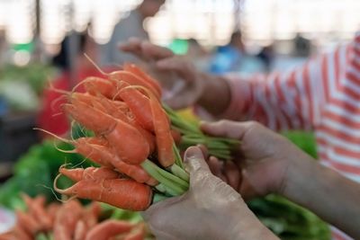 Close-up of hand holding food