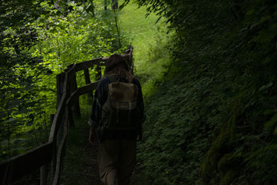 Rear view of woman walking in forest