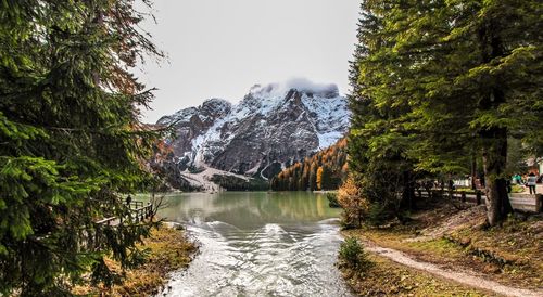 Scenic view of lake amidst trees against sky