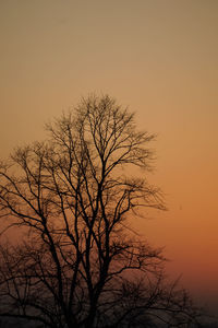 Silhouette bare tree against sky during sunset