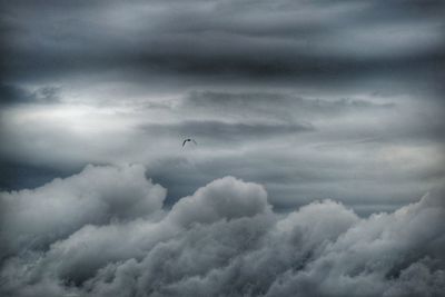 Low angle view of bird flying against sky