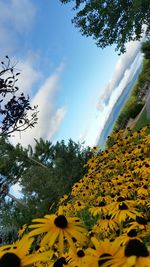 Scenic view of landscape against cloudy sky