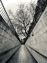 Bare trees by building against sky