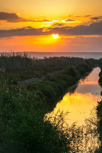 Scenic view of sea at sunset