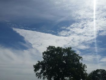 Low angle view of trees against cloudy sky