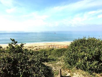 Scenic view of beach against sky