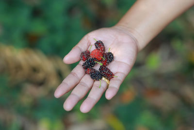 Close-up of hand holding strawberry