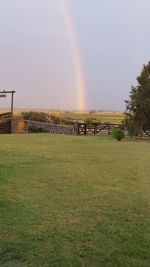 Scenic view of grassy field against sky