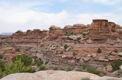 Canyonlands national park needles district big spring canyon overlook in utah