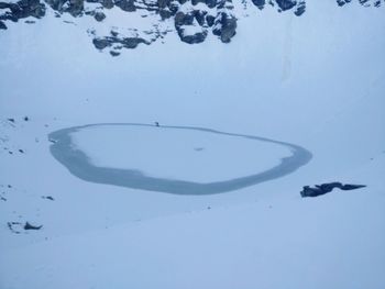 High angle view of birds swimming in snow