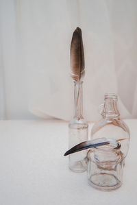 Close-up of glass jar and feathers on table