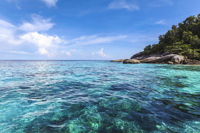 Tourist groups diving to see coral at similan islands, phang nga, thailand