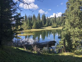 Scenic view of lake in forest against sky