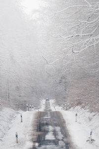 Slippery forest road in winter