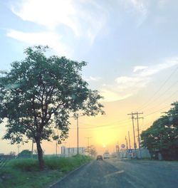 Road by trees against sky during sunset in city