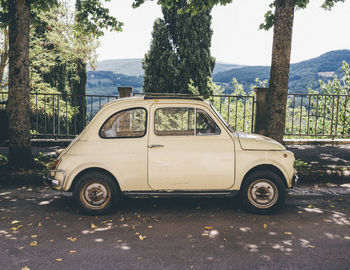 Car on road