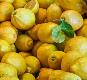 Full frame shot of fruits for sale at market stall