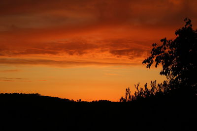 Silhouette trees against dramatic sky during sunset