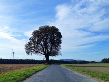 Country road passing through field