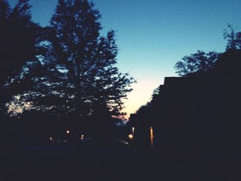 Low angle view of silhouette trees against sky