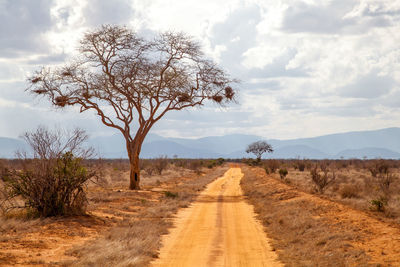 Dirt road amidst trees and landscape against sky