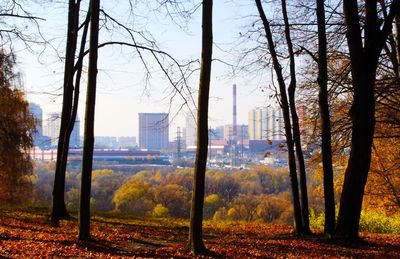 Trees in city against sky during autumn
