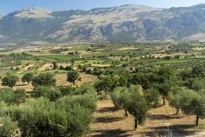 Scenic view of field against mountains