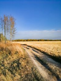 Dirt road amidst field against blue sky