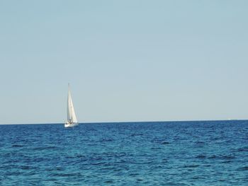 Sailboat sailing on sea against clear sky