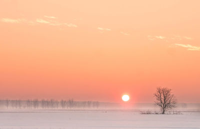 Scenic view of frozen landscape against orange sky