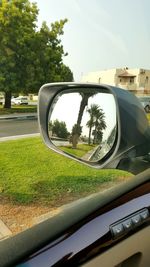 Reflection of trees in side-view mirror