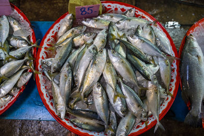 High angle view of fish for sale in market