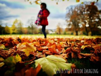 Close-up of young woman with leaves on field during autumn