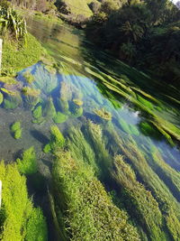 High angle view of water flowing in sunlight