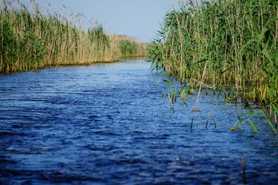 Scenic view of river against sky