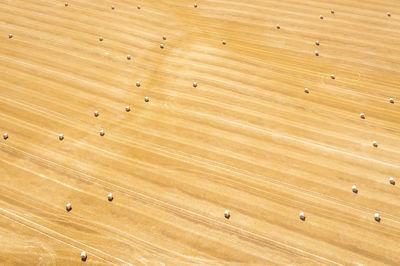 Hay bales lying in yellow field