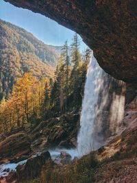 Scenic view of waterfall in forest