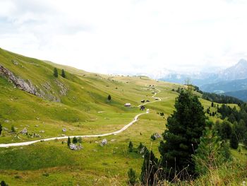 Scenic view of green landscape against sky