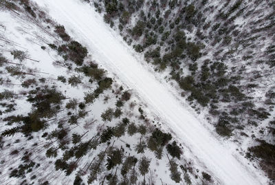 High angle view of snow covered land against trees